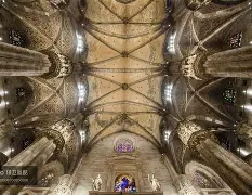 米利西奇任女足主帅